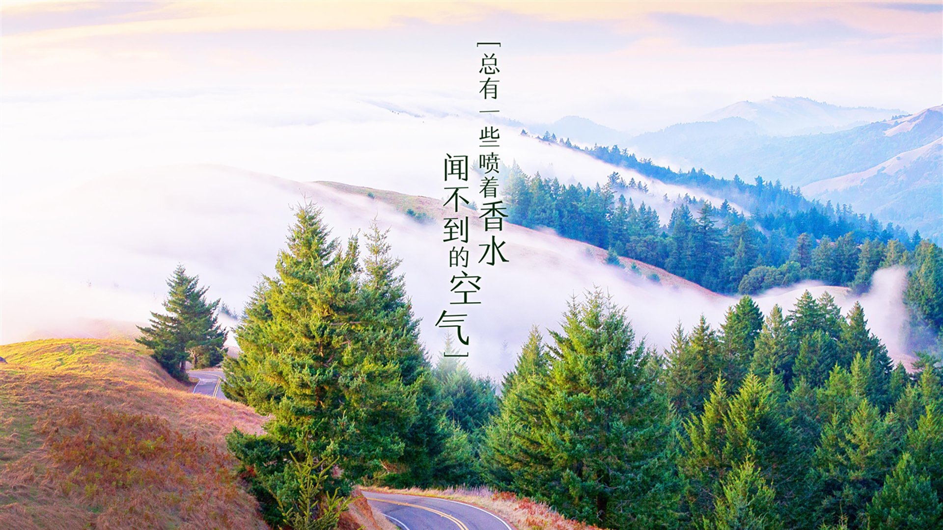 棋盘终局，哈弗茨—子定乾坤，奥运征途的关键先生在此诞生