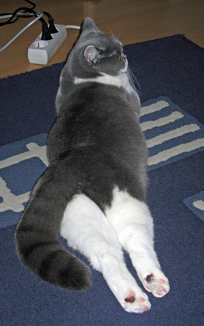 暗夜狂飙，奥亚尔萨瓦尔撕裂防线，改写英超争冠终局