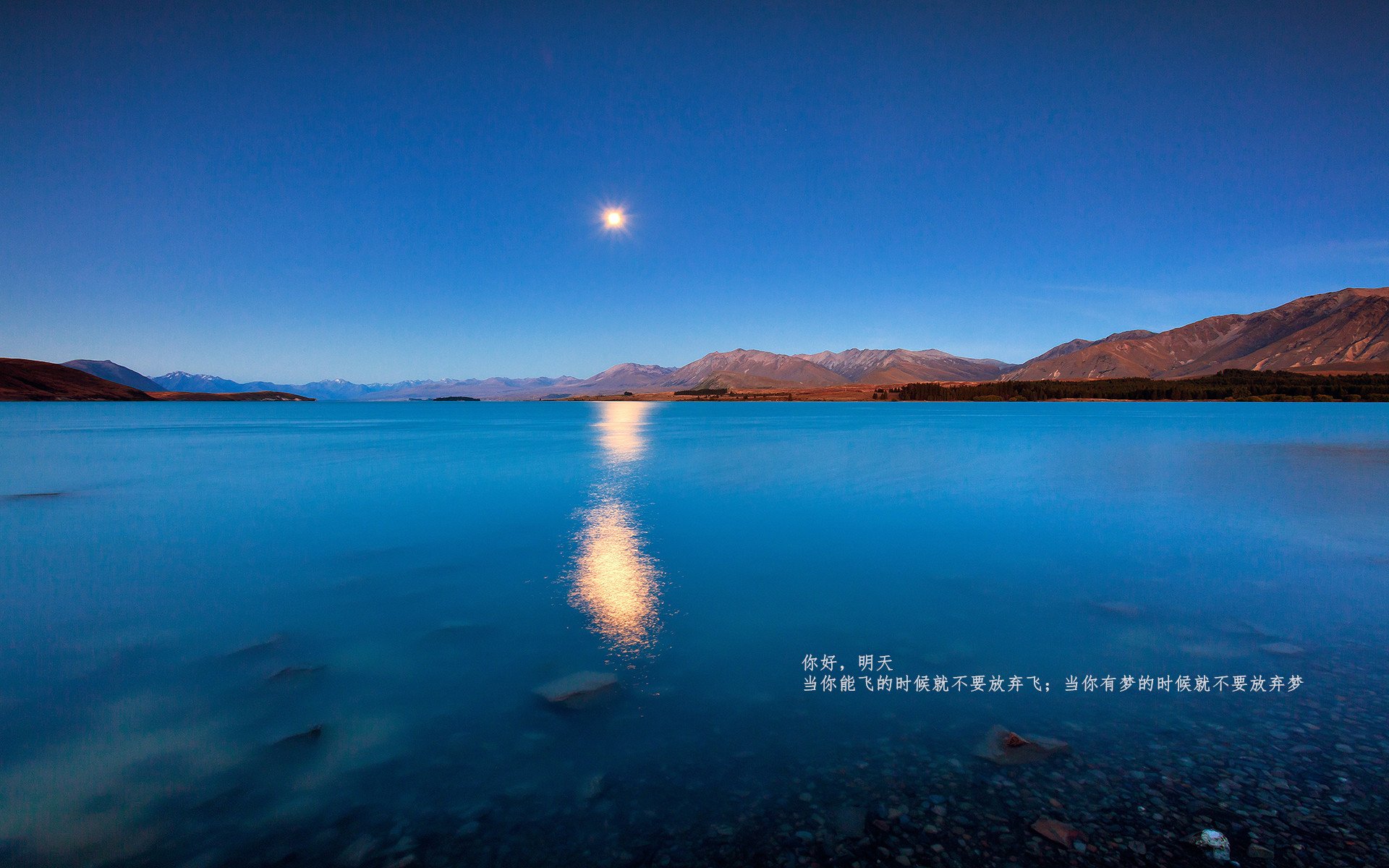 命运岔路口，利拉德轰出赛季最强音，湖人用窒息防守赢下芝加哥生死战