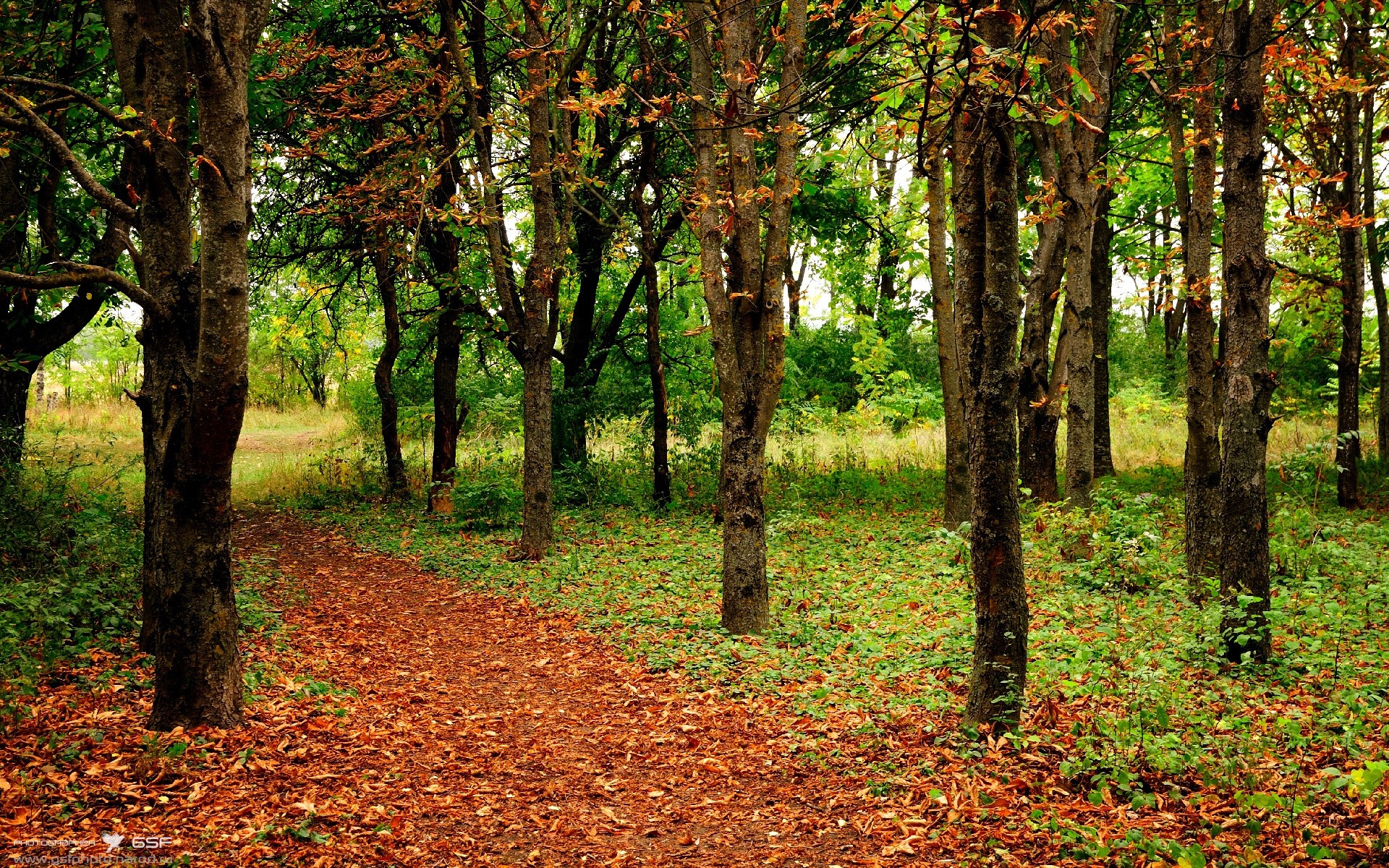 同一天，冰雪消融与引擎轰鸣，当森林狼咬碎天山，周冠宇在巴林心跳骤停