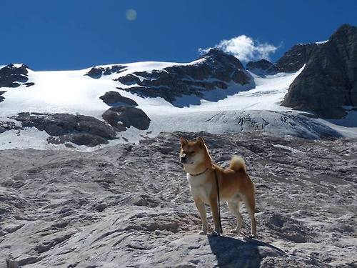 双线狂飙，赛道极限与绿茵铁血