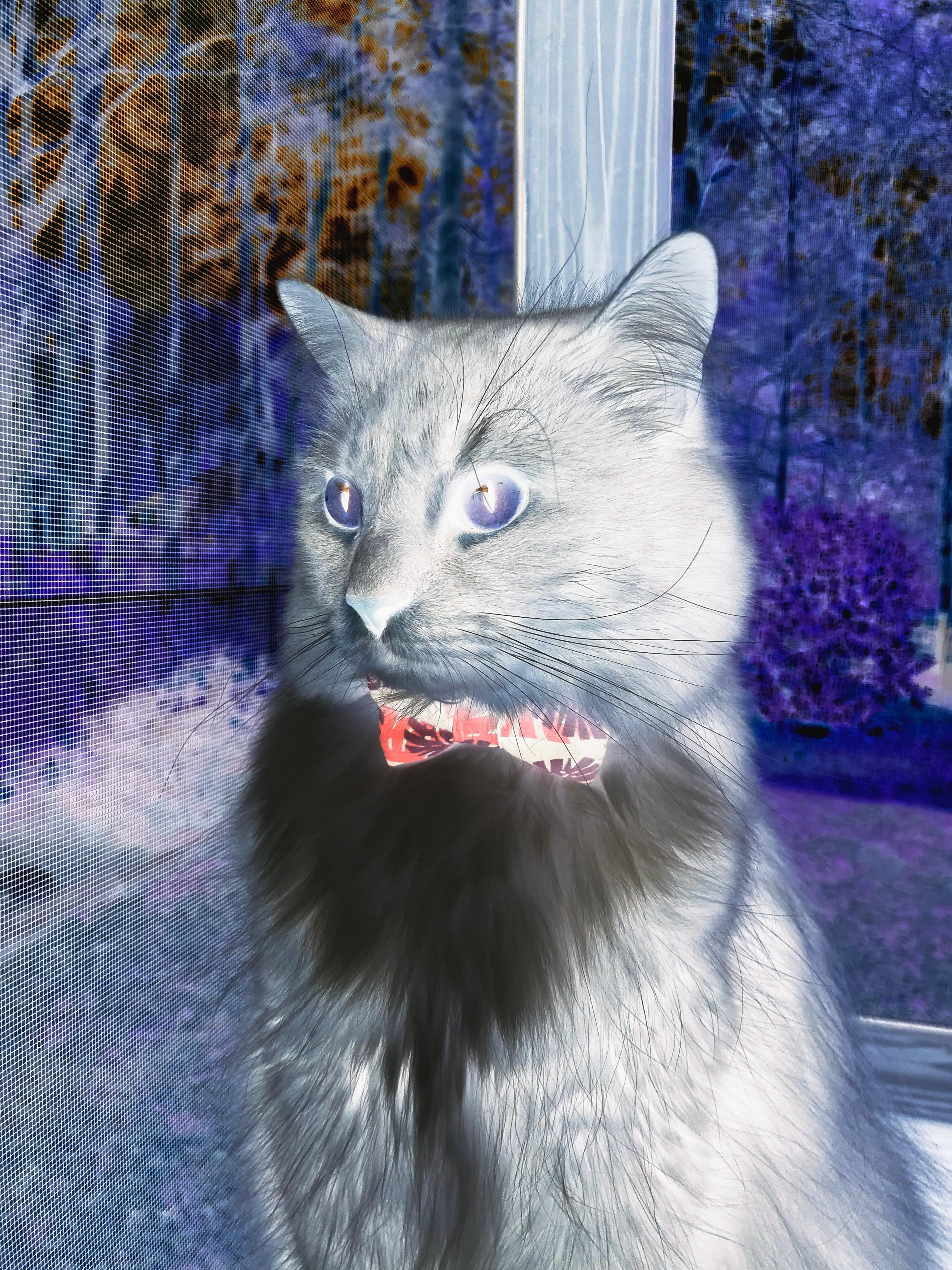 倒转乾坤！饱受质疑之人轰25+16献绝命5分，魔术生死时刻信他得永生