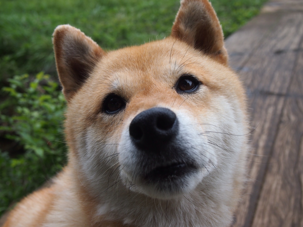 拜仁提前终结德甲悬念，法比尼奥统治级数据引领利物浦狂胜