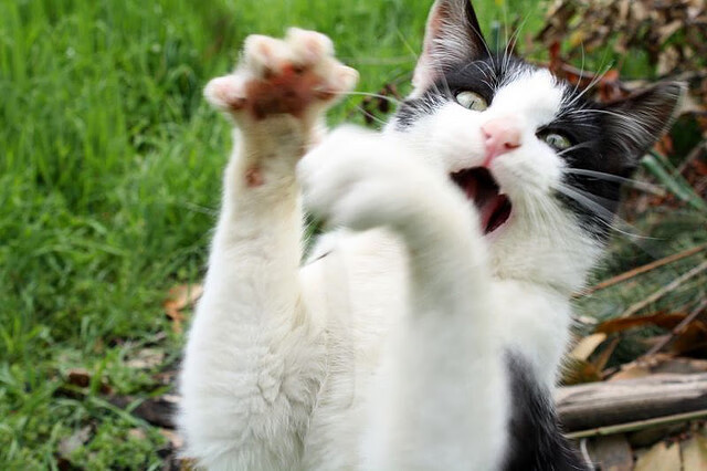 跨时空的掌控者，从快船碾压山西到贝恩世界杯接管