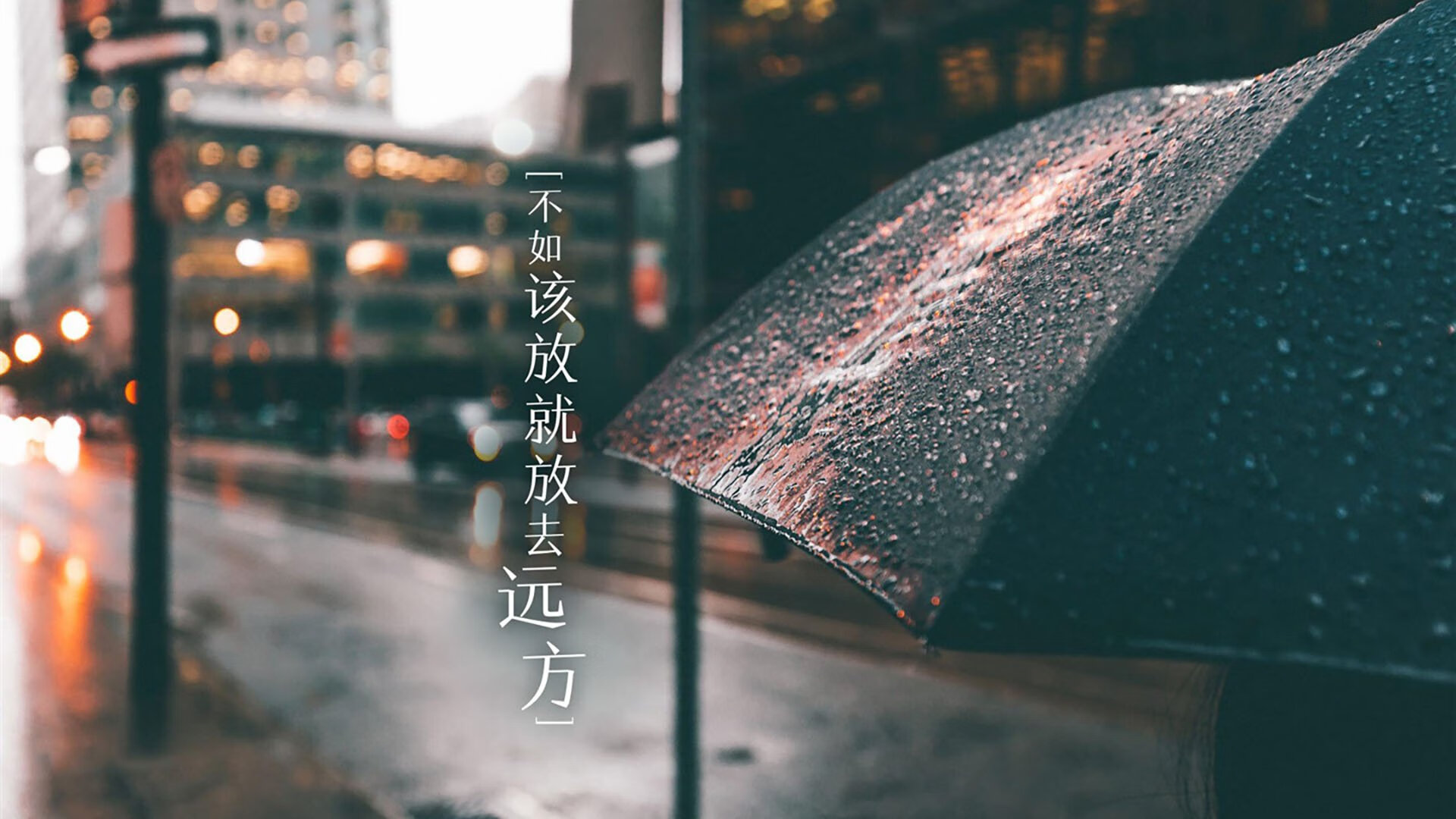 2026世界杯D组唯一弑神剧本，当韩国铁骑踏破宿命，卢卡库在亚洲德比中加冕