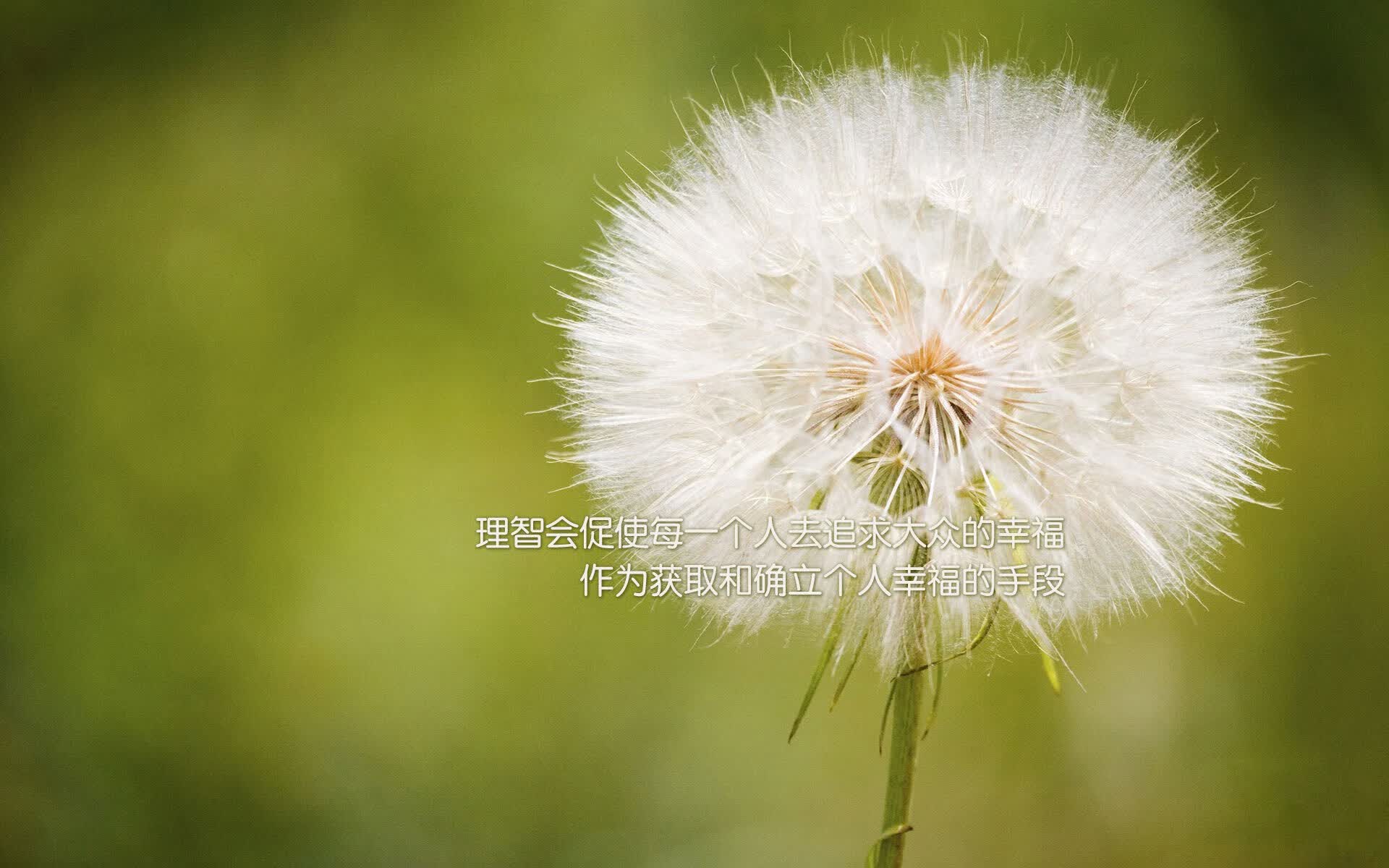 2026世界杯D组唯一弑神剧本，当韩国铁骑踏破宿命，卢卡库在亚洲德比中加冕