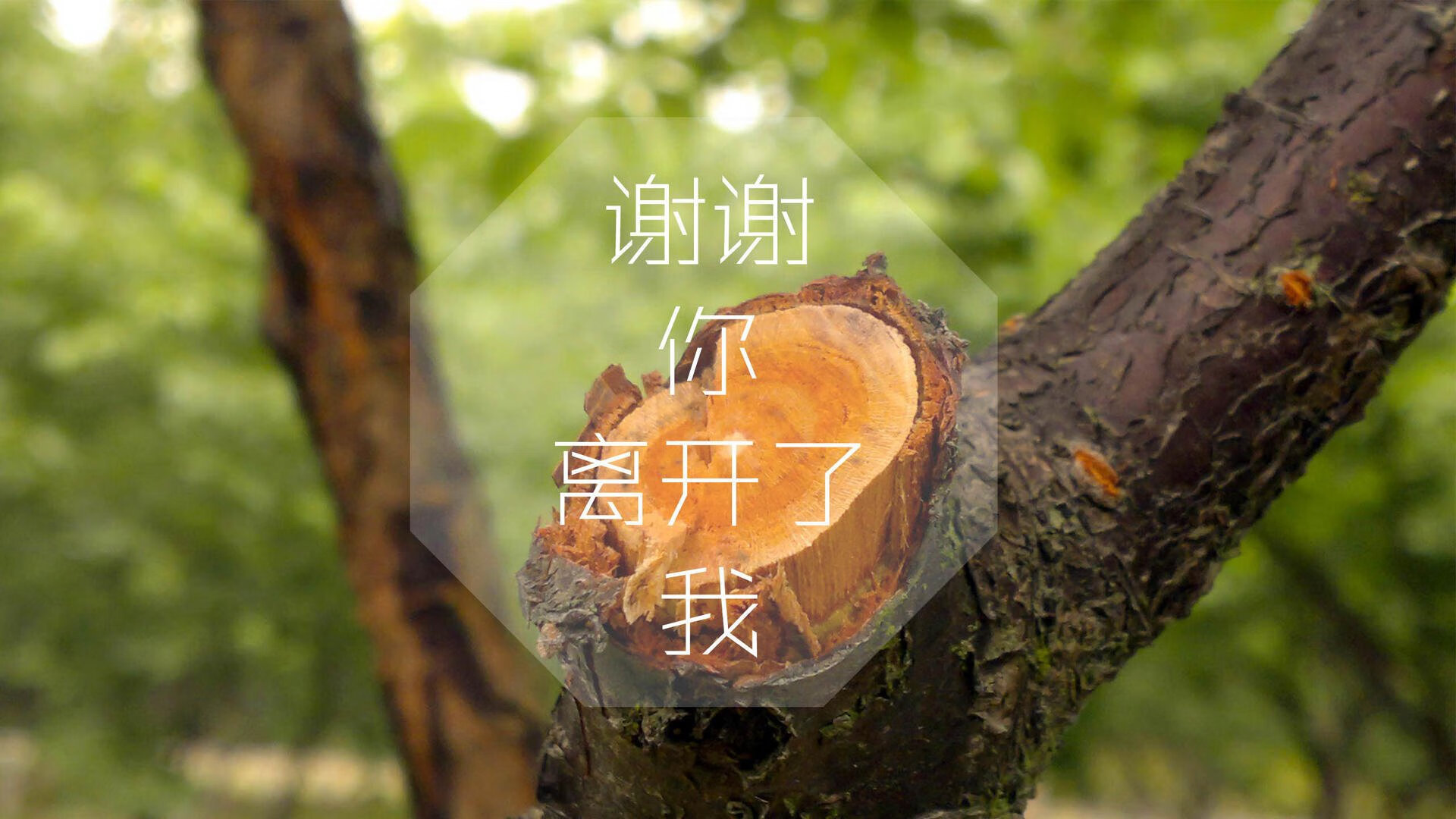 日耳曼战车碾碎于黄金双枪，2026世界杯G组，葡萄牙如何用一场进攻风暴完成历史性碾压，福登的致命一击则是布拉格之春的足球启示录