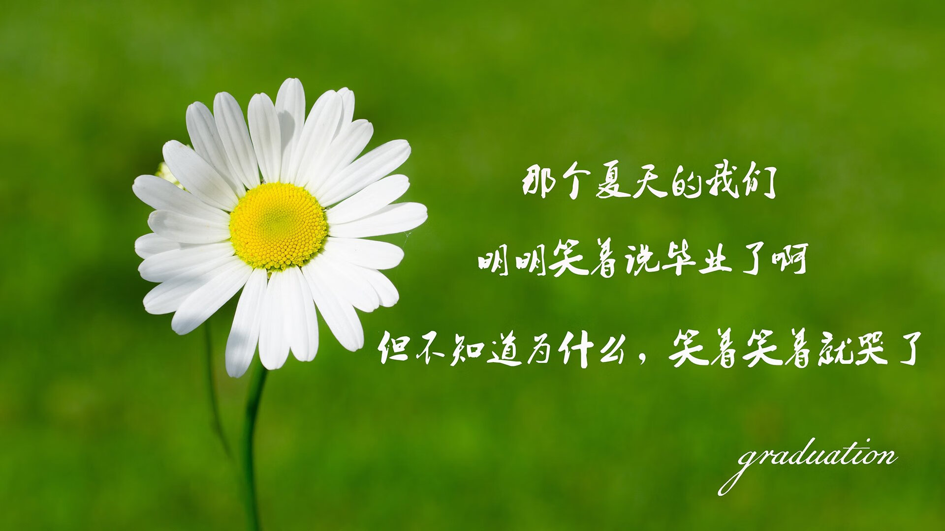 以下是为您构思的标题和文章