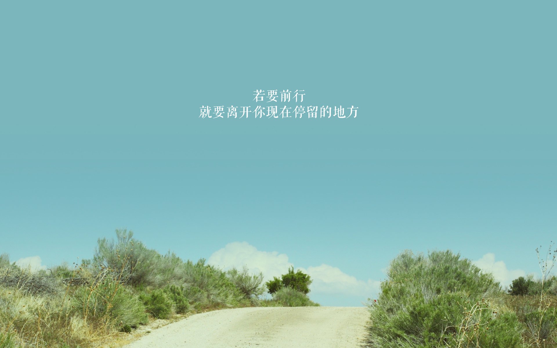 东方不亮西方亮,当亚洲袋鼠在C组撕碎德意志战车,塔雷米的天外飞仙书写唯一剧本